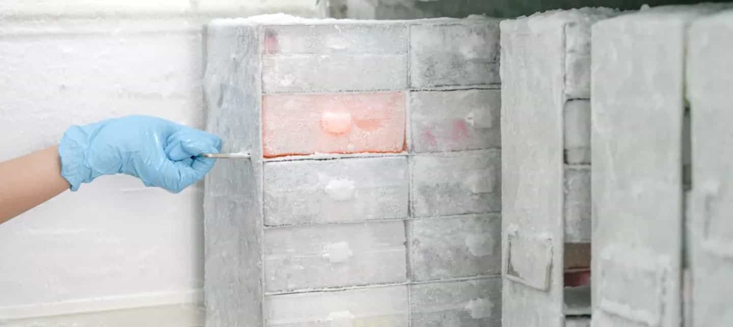 Hånd med handske som tar bort en pigg i en blogg med mur