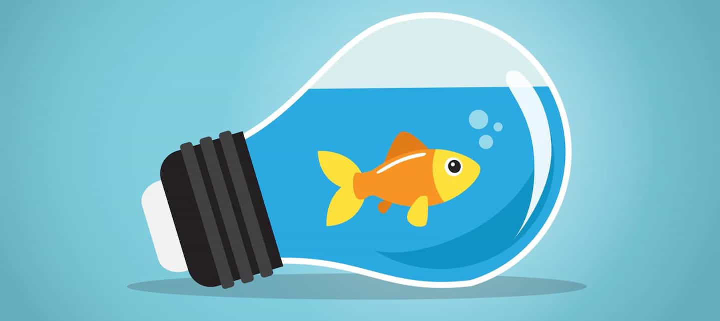 Bilde av animert gullfisk inne i en lyspære