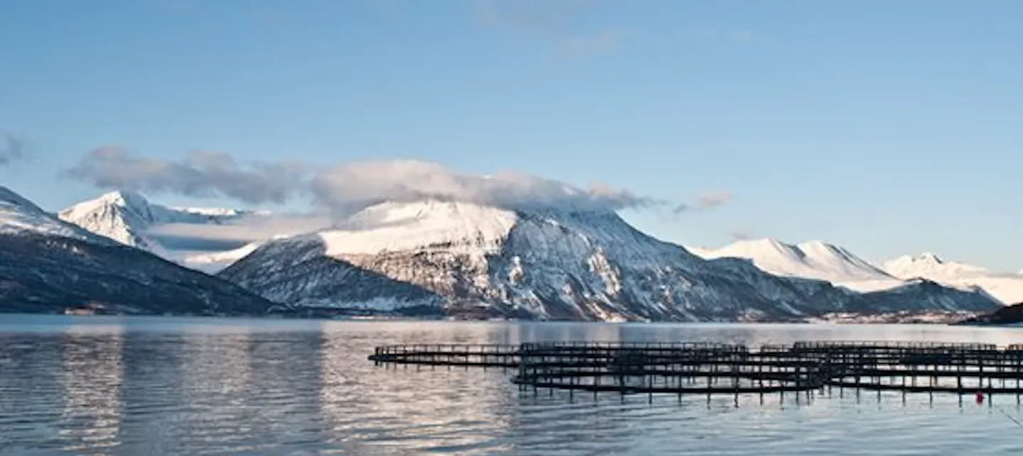 Bilde av fiskeoppdrettsanlegg 