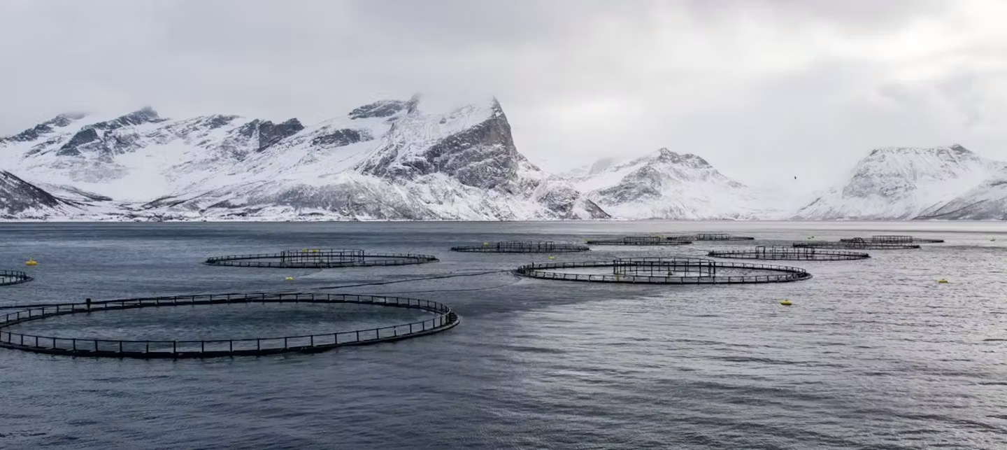 Havbruk på vinteren med hvite fjelltopper i bakgrunn