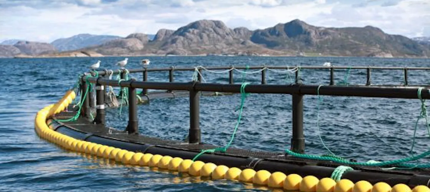 Bilde av fiskeoppdrettsanlegg 