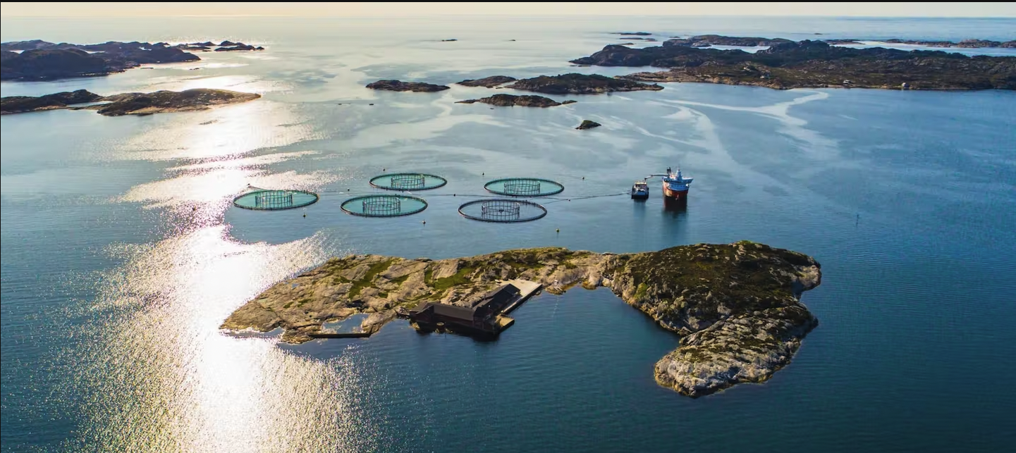 Bilde av fiskeoppdrettsanlegg 