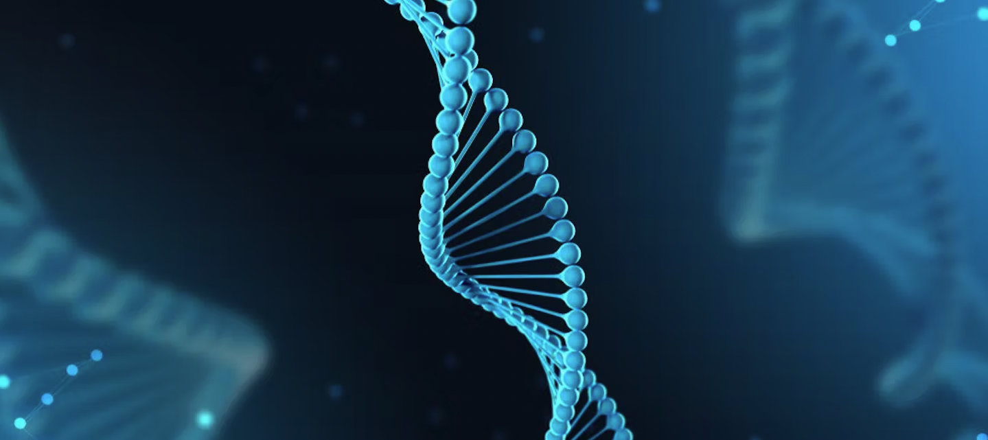 Bilde av animert DNA