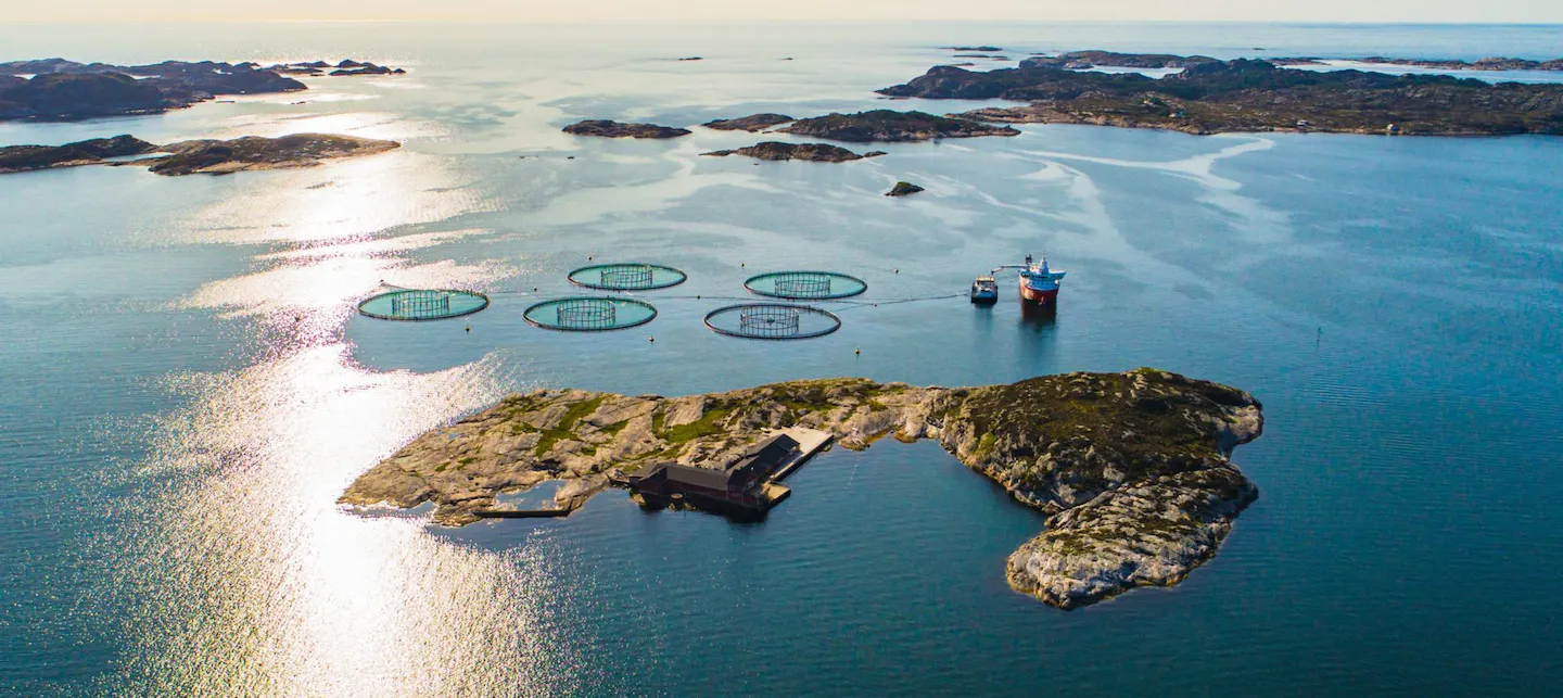 Fiskeoppdrettsanlegg 