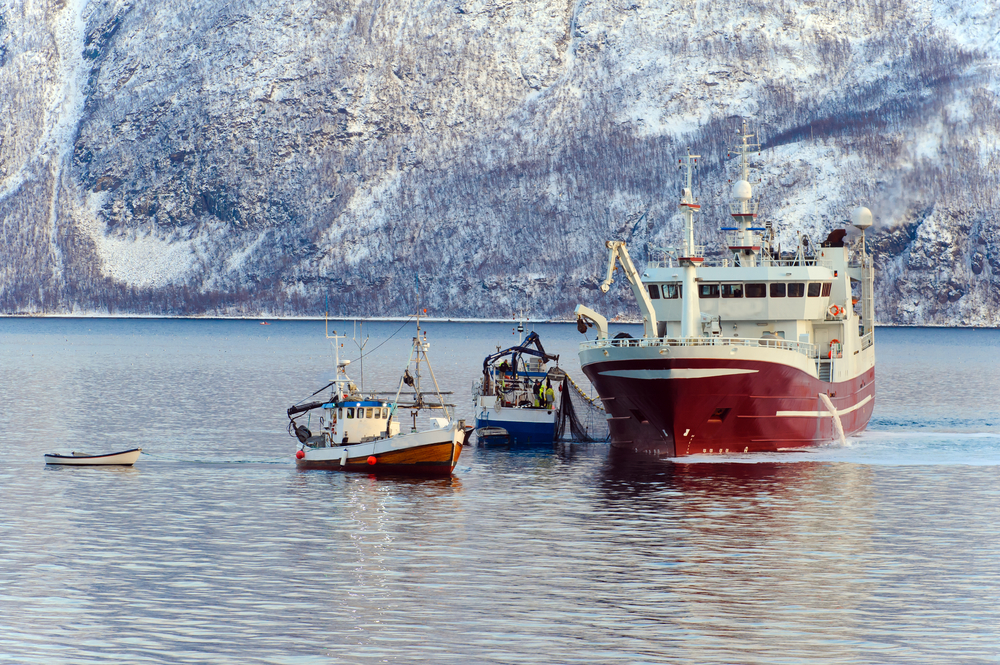 Fiskebåter på vann med fjell i bakgrunn